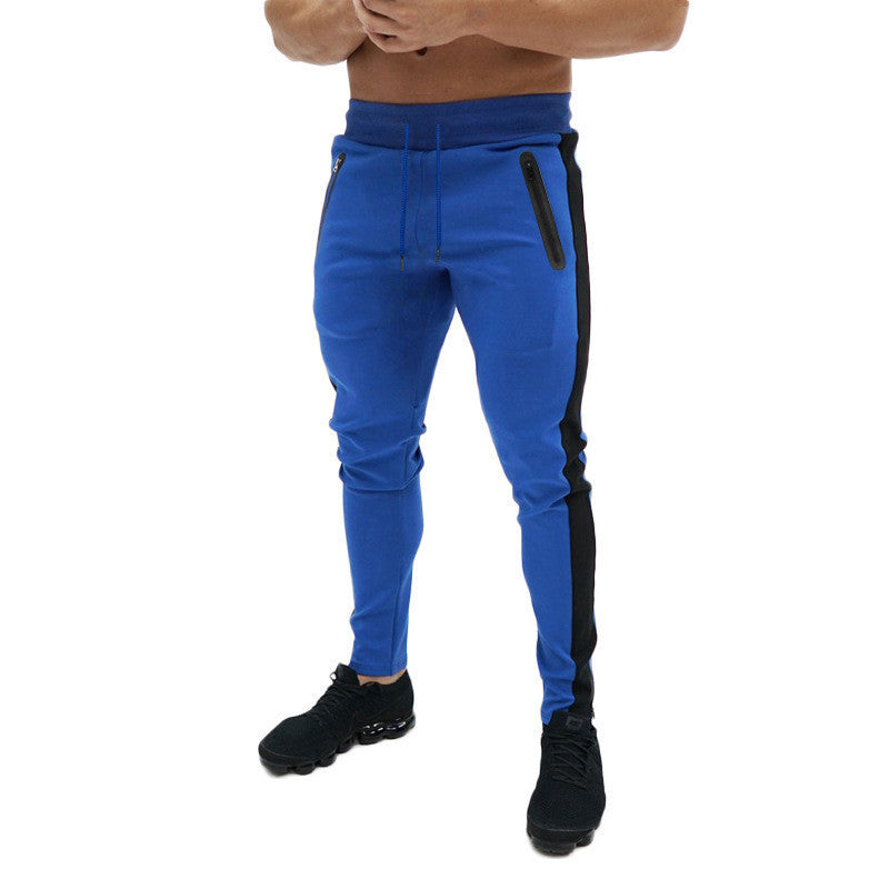 Multicolor Skinny Pants Blue