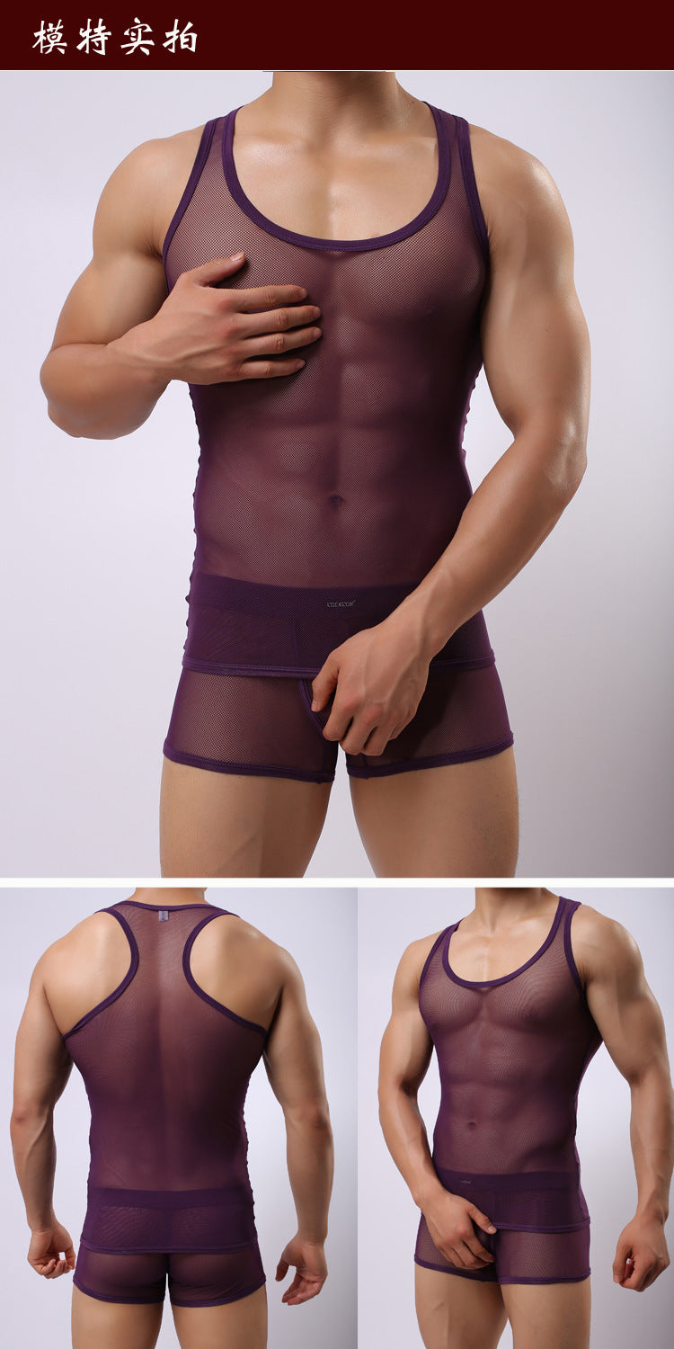 Transparent Cutout Mesh Underwear Purple